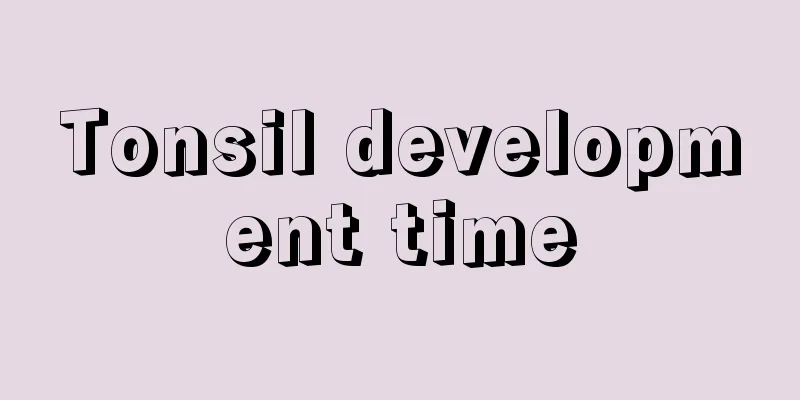 Tonsil development time