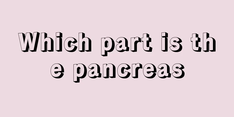 Which part is the pancreas
