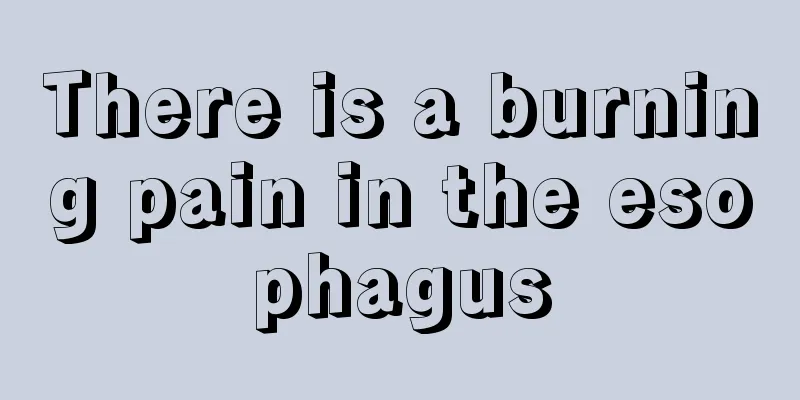 There is a burning pain in the esophagus