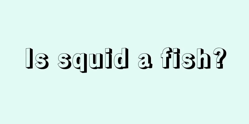 Is squid a fish?