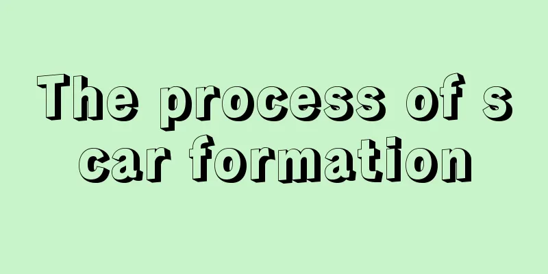 The process of scar formation