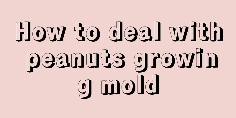 How to deal with peanuts growing mold