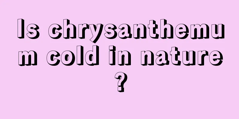 Is chrysanthemum cold in nature?