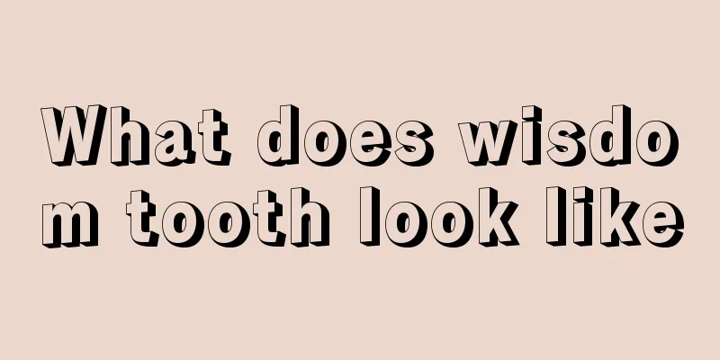 What does wisdom tooth look like