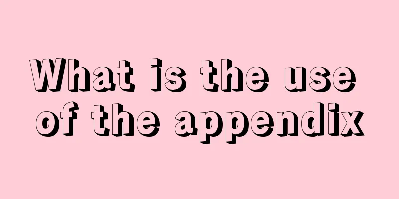 What is the use of the appendix