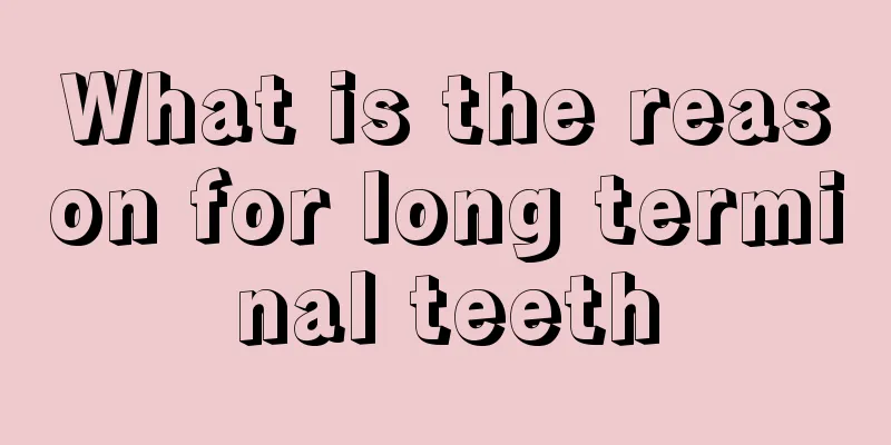What is the reason for long terminal teeth