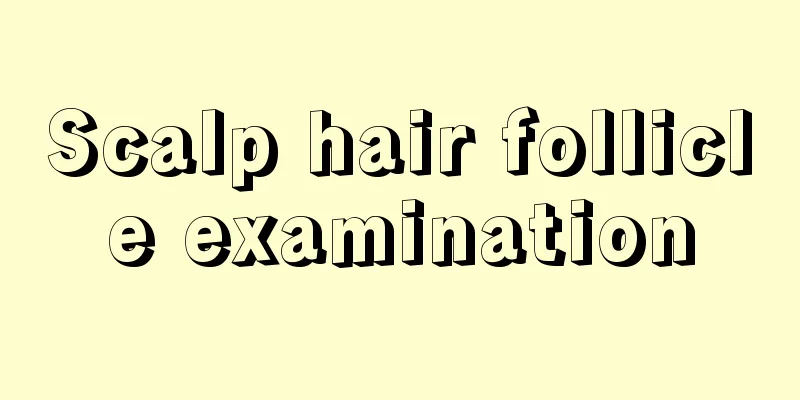 Scalp hair follicle examination