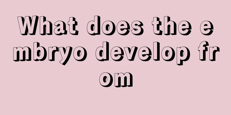 What does the embryo develop from