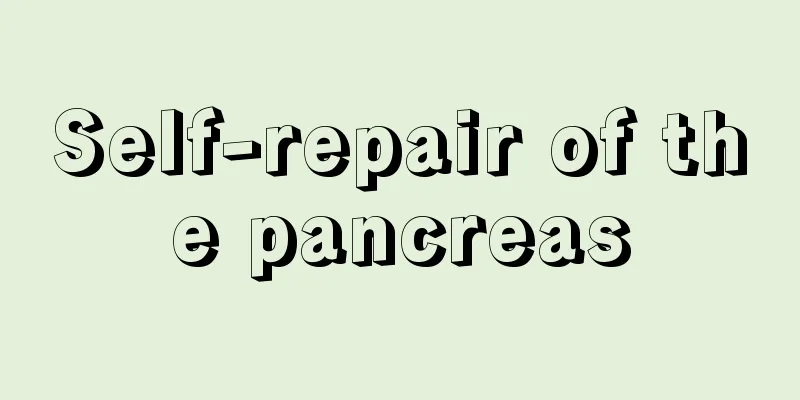 Self-repair of the pancreas