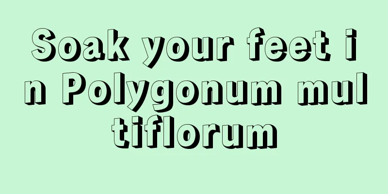 Soak your feet in Polygonum multiflorum