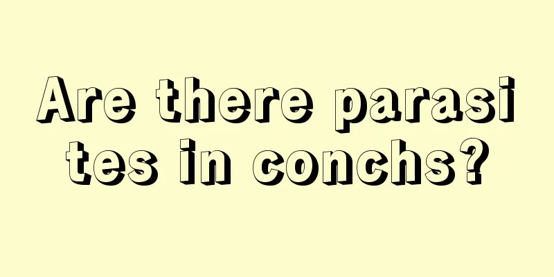 Are there parasites in conchs?