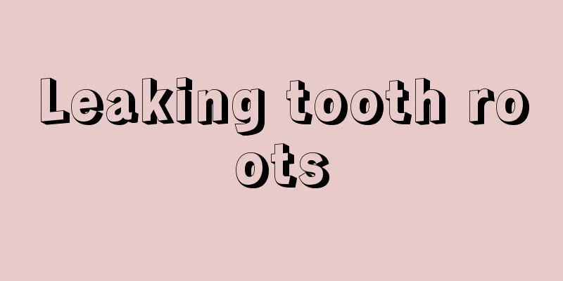 Leaking tooth roots