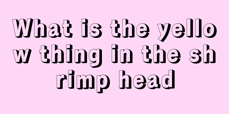 What is the yellow thing in the shrimp head