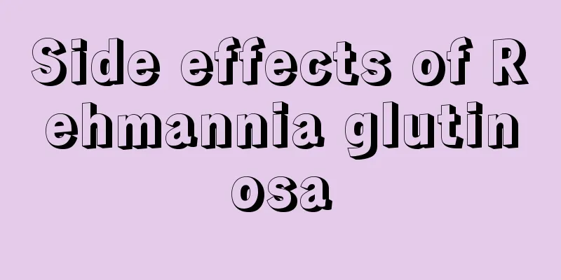 Side effects of Rehmannia glutinosa