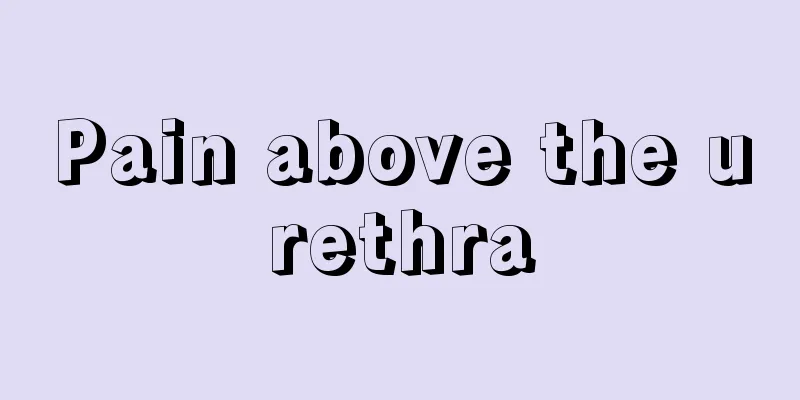 Pain above the urethra