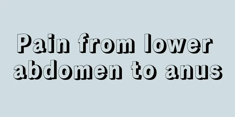 Pain from lower abdomen to anus