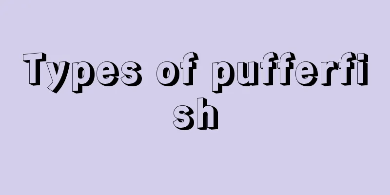 Types of pufferfish