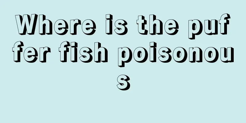 Where is the puffer fish poisonous