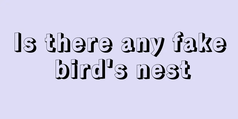 Is there any fake bird's nest