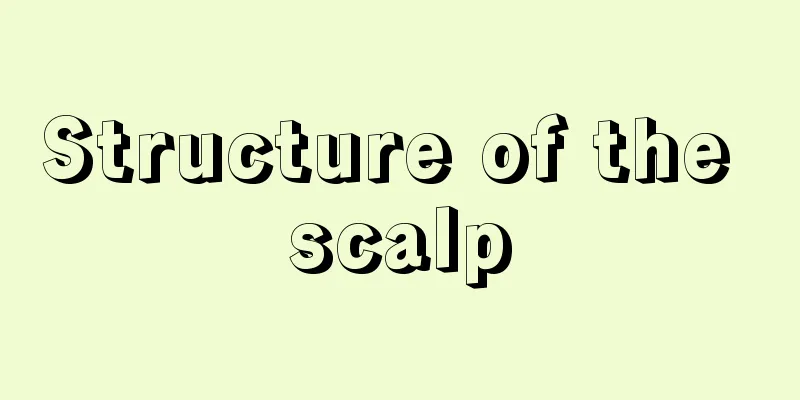 Structure of the scalp