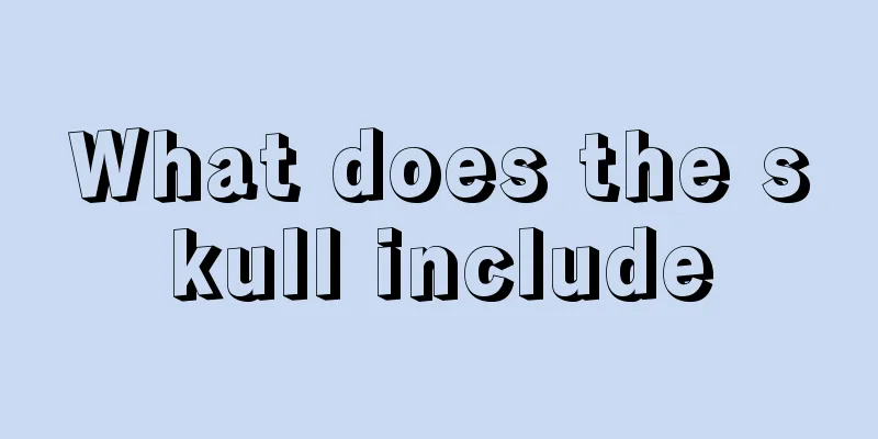 What does the skull include