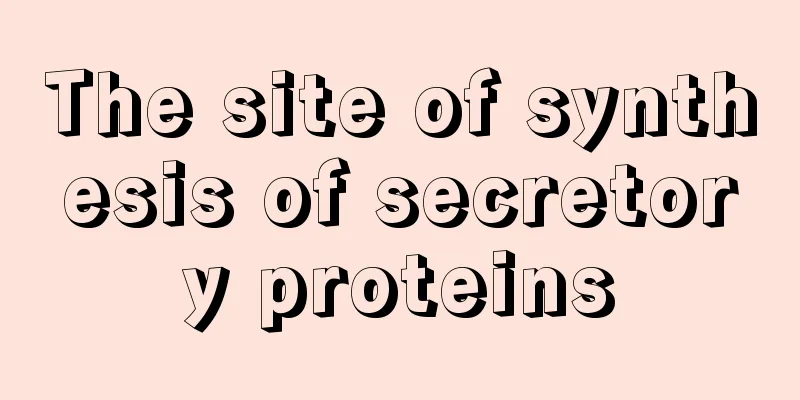 The site of synthesis of secretory proteins