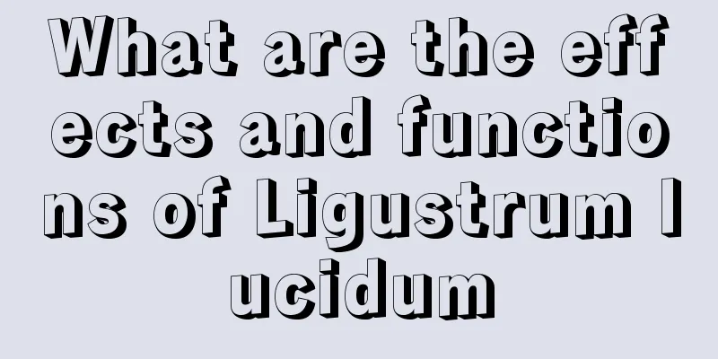 What are the effects and functions of Ligustrum lucidum