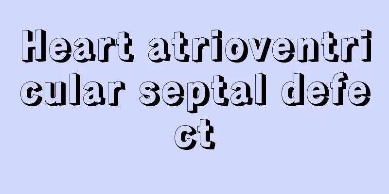 Heart atrioventricular septal defect