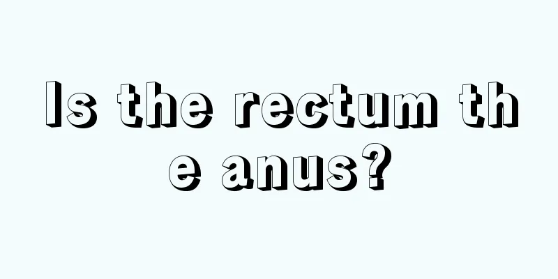 Is the rectum the anus?