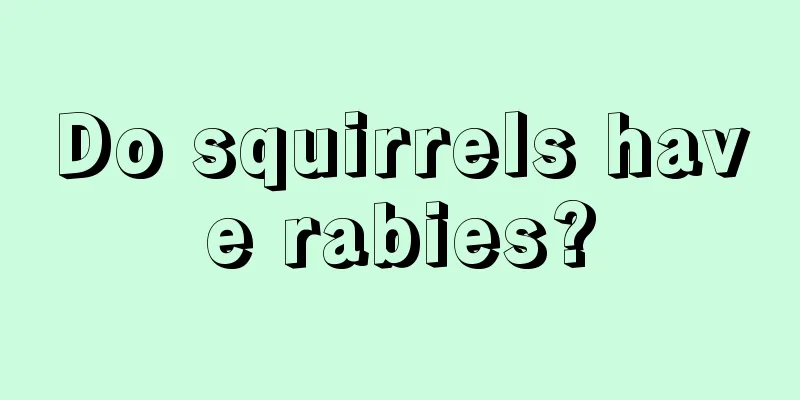 Do squirrels have rabies?
