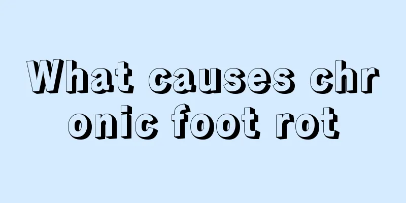 What causes chronic foot rot