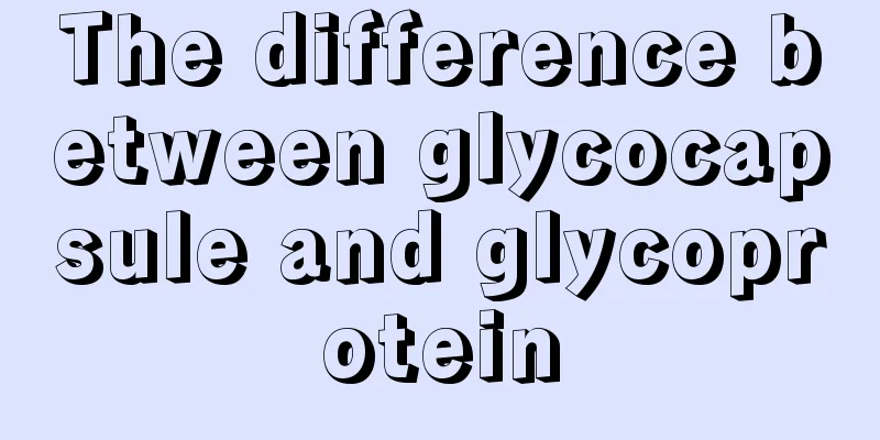 The difference between glycocapsule and glycoprotein