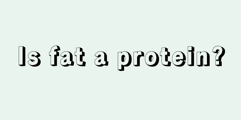 Is fat a protein?