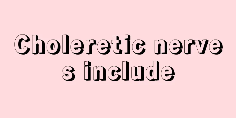 Choleretic nerves include
