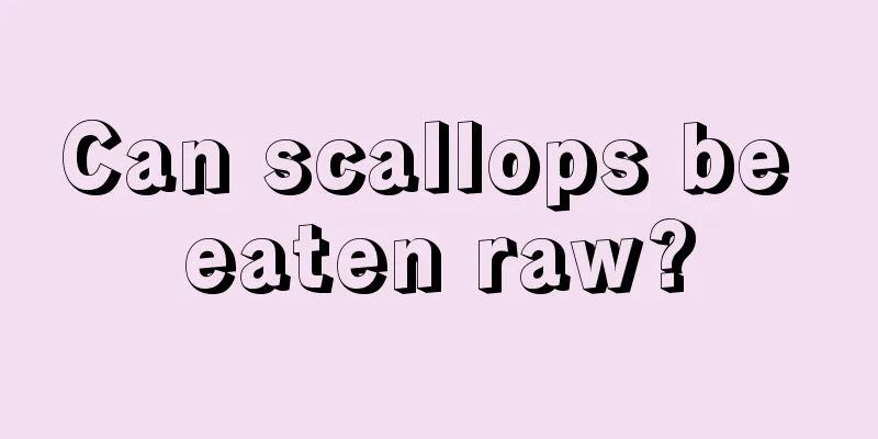 Can scallops be eaten raw?