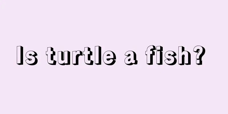 Is turtle a fish? 