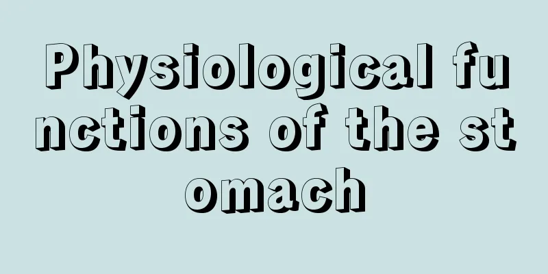 Physiological functions of the stomach