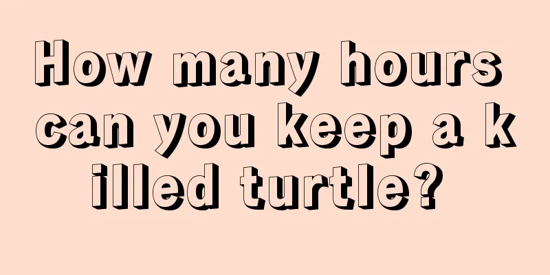 How many hours can you keep a killed turtle? 