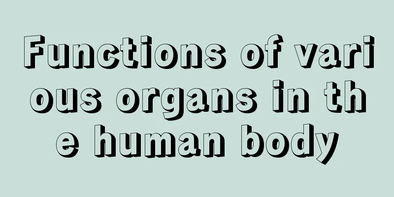 Functions of various organs in the human body