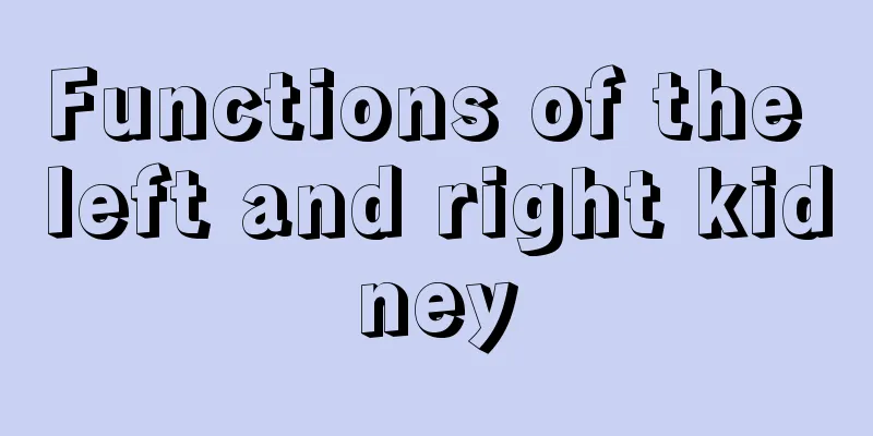 Functions of the left and right kidney