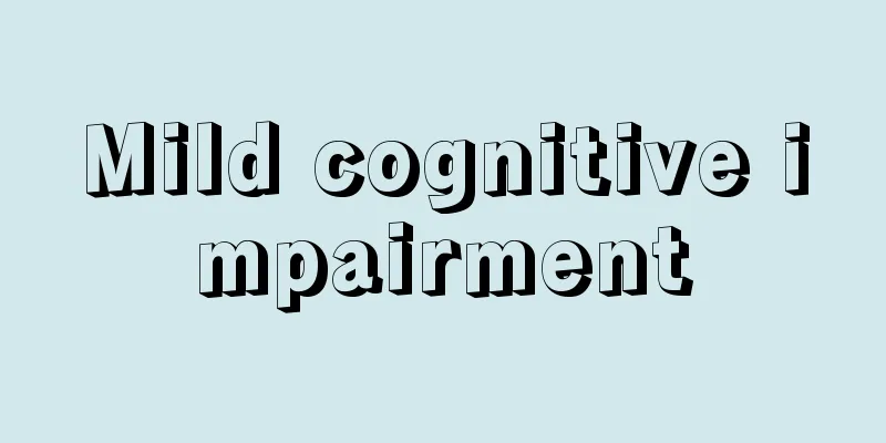 Mild cognitive impairment