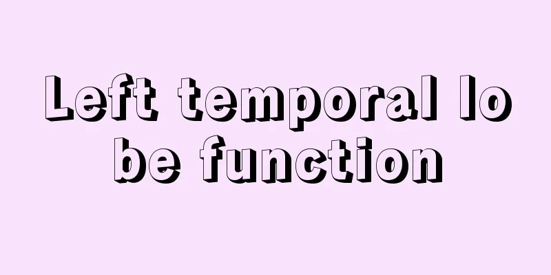 Left temporal lobe function