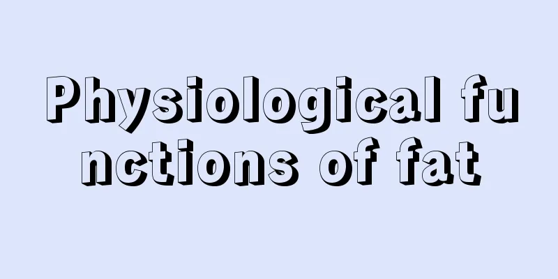 Physiological functions of fat