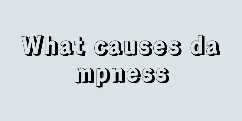 What causes dampness