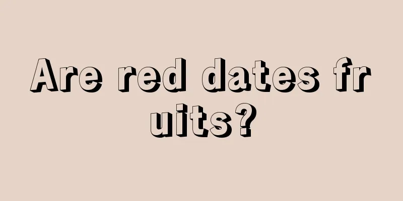 Are red dates fruits?