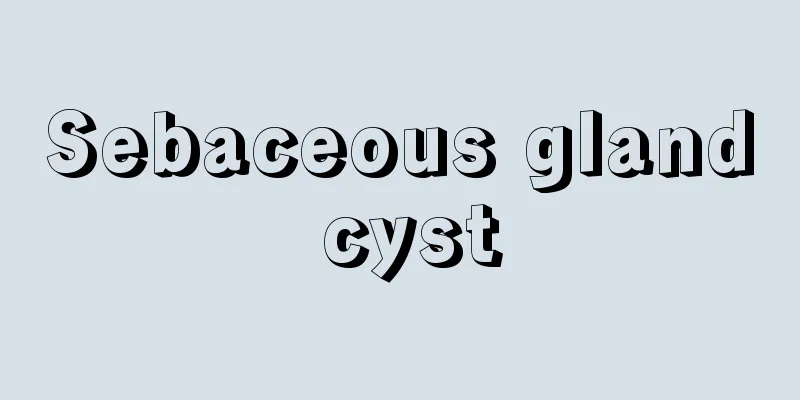 Sebaceous gland cyst