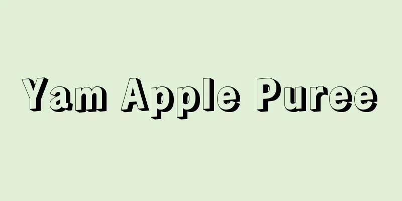 Yam Apple Puree