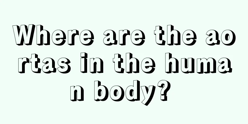 Where are the aortas in the human body? 