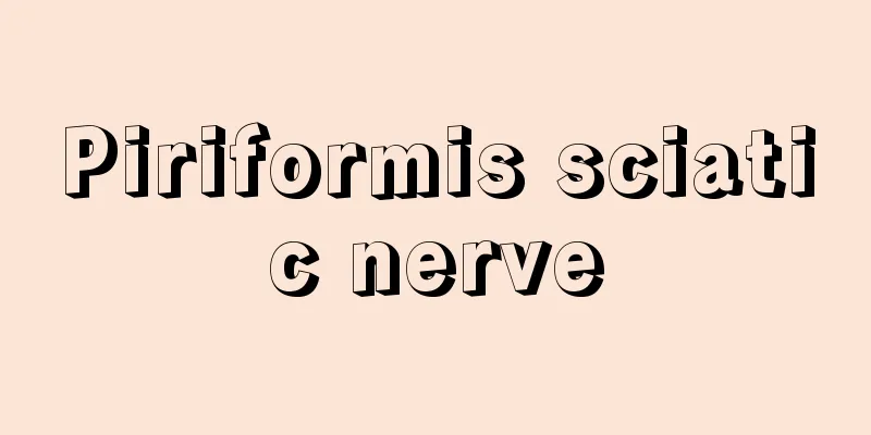Piriformis sciatic nerve