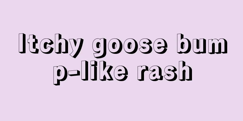 Itchy goose bump-like rash